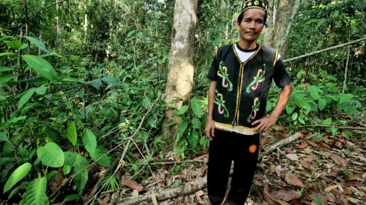 Govt Allocates 1.4M Ha Carbon Land for Customary Groups