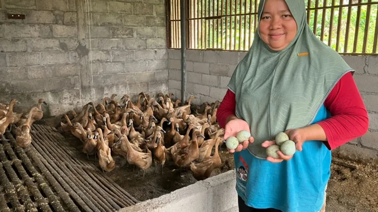 Kepulauan Seribu Turns Organic Waste Into Duck Feed to Boost Food Security