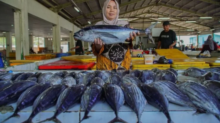 Tuna from Lebak Reaches Export Markets in Japan and Europe