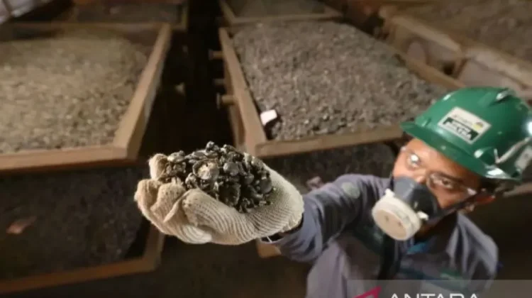 BRIN Researcher Finds More Efficient Nickel Processing Technology