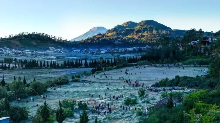 Dieng's Embun Upas Frost Expected to Boost DCF 2026