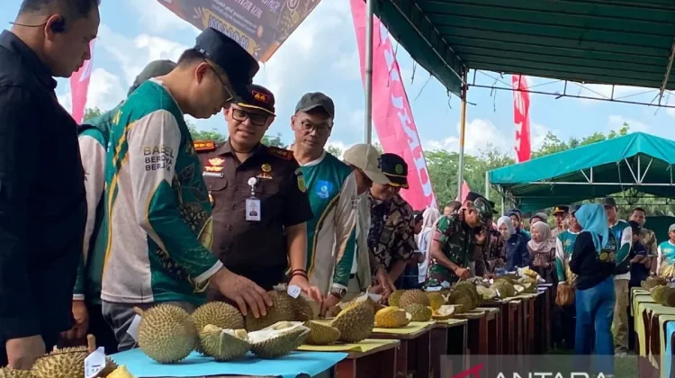 Bangka Belitung Durian Contest Targets Global Recognition