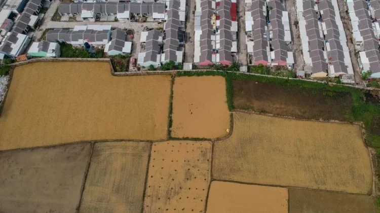 Govt Tightens Agricultural Land Protection to Safeguard Food Security