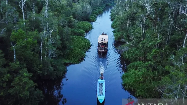 Indonesia Pushes Forestry Carbon Trading to Boost Protection, Community Welfare