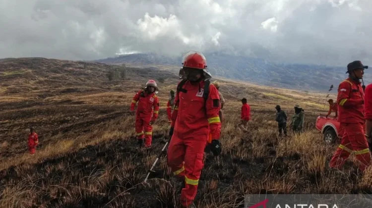 Wildfire Ravages Tambora Savanna, Threatening UNESCO Biosphere Reserve