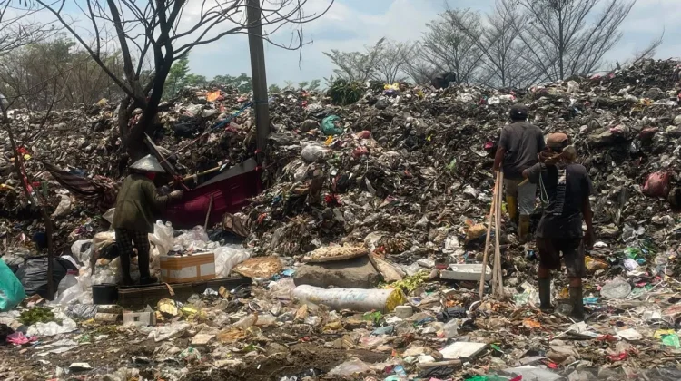Cirebon Turns Waste Into Self-Sustaining Food Cycle