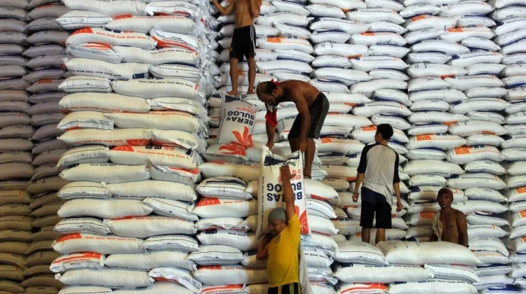 Indonesia Pursues Rice Export Deals with Malaysia and Singapore