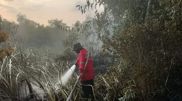 As Many as 321 Fires Hit South Sumatra as Dry Season Threat Grows