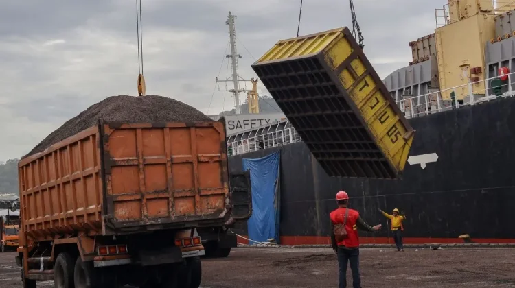 Global Trade Pressures Drive Indonesian Palm Oil Quality Improvements