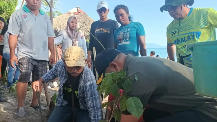 Malapari Has Potential as Renewable Energy Source