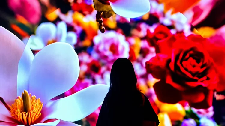 Indonesia Builds Immersive Digital Ecosystem for 81st Independence Day ...