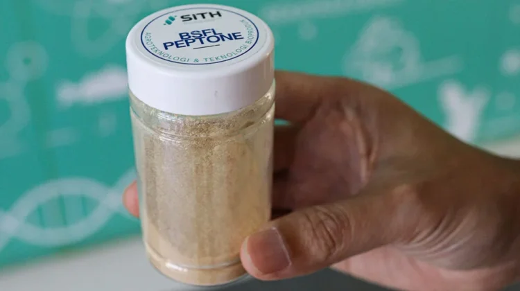 ITB Researchers Turn Fly Larvae into Sustainable Pepton Alternative
