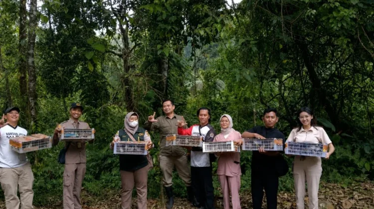 As Many as 200 Wild Birds Smuggled in Intercity Bus Foiled at Ketapang