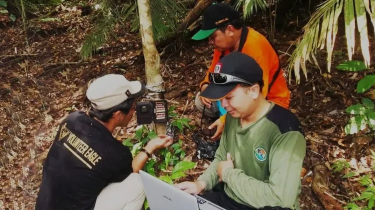 Indonesia Adopts Drone Tech for Forest Protection