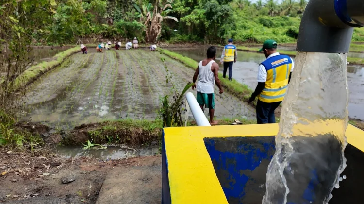 Completed Yamdena Irrigation to Help Farmers Harvest Three Times Yearly