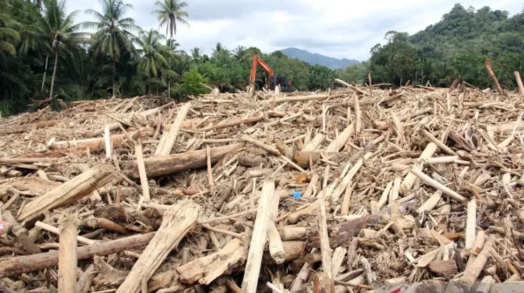 Spatial Planning Overhaul Proposed for Sumatra’s Vulnerable Areas