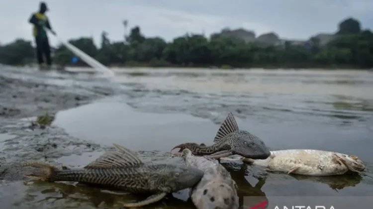 Banten Seals Three Unlicensed Factories Polluting Cisadane River