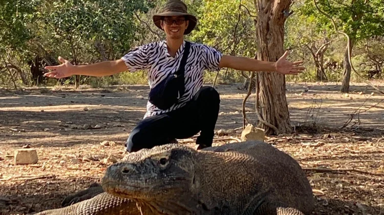 UGM Study Reveals Parasite Threats Facing Wild Komodo Dragons