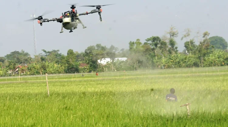 Govt Encourages Youth to Strengthen National Agricultural Sector