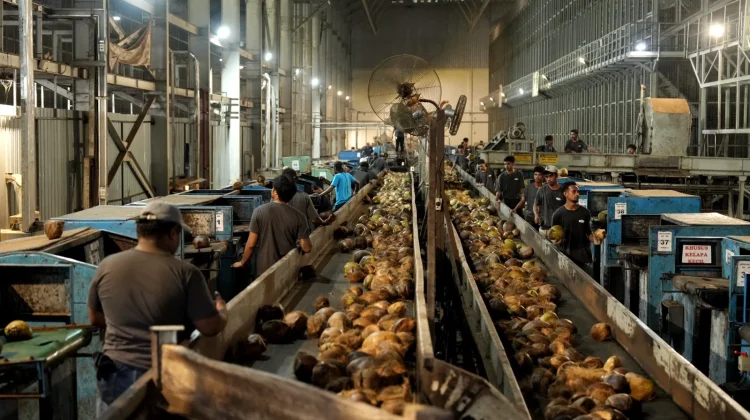Coconut Downstreaming Key to Economic Transformation: Govt