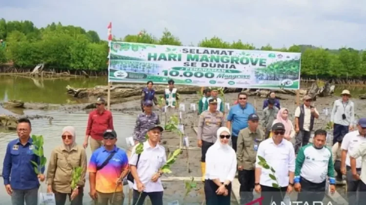 East Kalimantan Intensifies Mangrove Rehabilitation in Kukar and Balikpapan