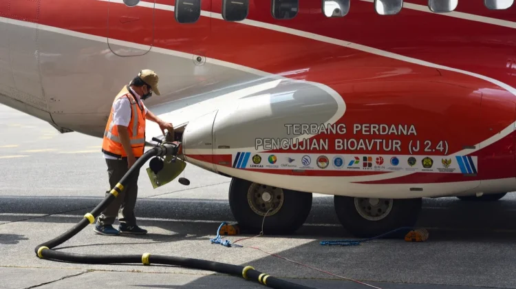 BRIN and KIST Boost Bioavtur Efficiency via Biomassa Innovation