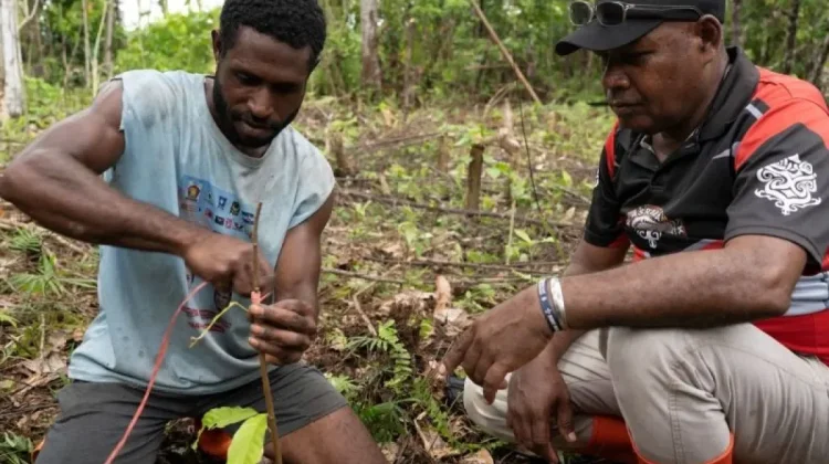 Raja Ampat Cocoa Farmers Boost Skills Through Agroforestry