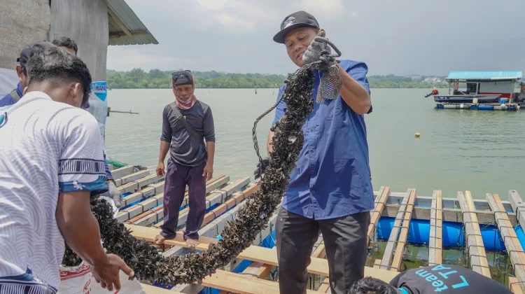 Batam Fisheries Exports Accelerated Through Licensing Integration