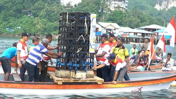Jayapura Restores Humboldt Bay Ecosystem with Fish Houses