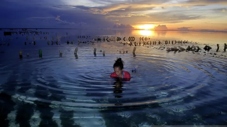 Seaweed Farming to Boost Coastal Economies in NTT