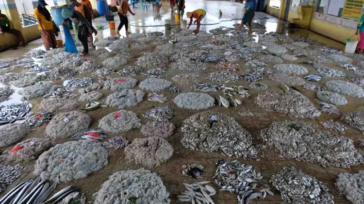 Fuel Distribution Supervised to Ensure Fishermen Receive Subsidized Diesel