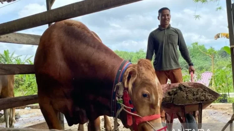 East Kalimantan Forms 23 Livestock Cooperatives to Boost Farmers’ Independence