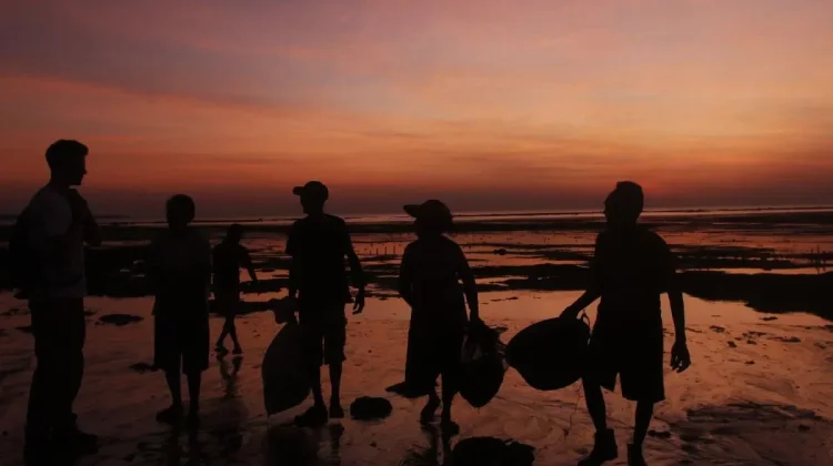 East Nusa Tenggara to Build Five Integrated Seaweed Clusters