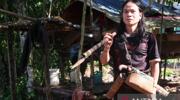 Forestry Ministry Pushes Recognition of Customary Forests