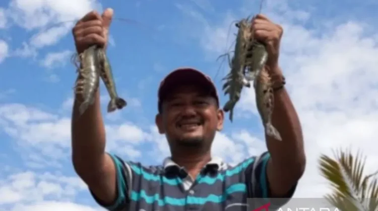 East Kalimantan Seafood Exports Hit IDR 192.9 Billion in 2026