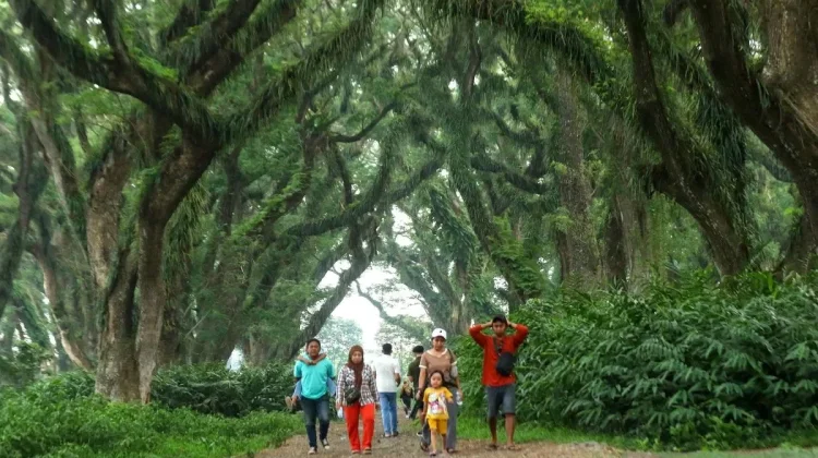 Banyuwangi-InJourney Partner to Boost Global Tourism
