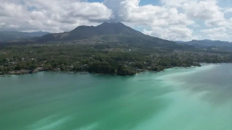 Natural Phenomenon Causes Mass Fish Die-Off in Bali's Lake Batur