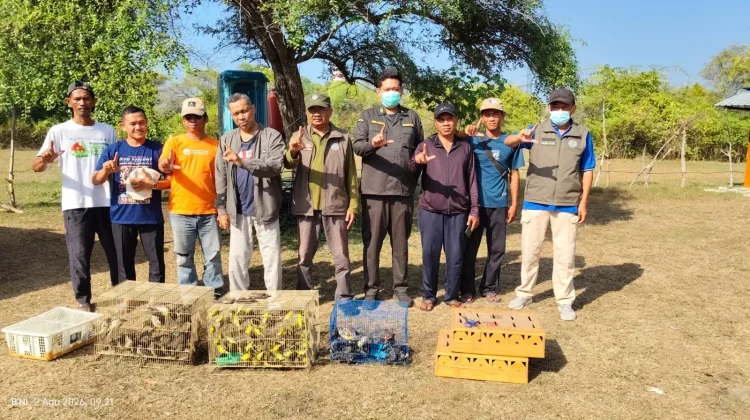 Bali Rescue 284 Illegal Smuggled Birds and Released to Wild