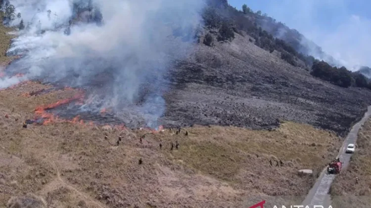 Bromo Forest Fire Prompts Access Closure and Safety Alert