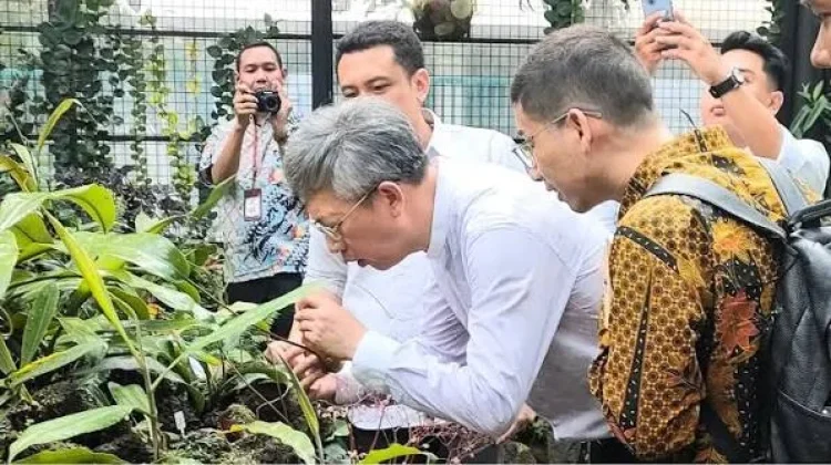 BRIN Saves Threatened Plant Species in Cibodas Botanic Garden