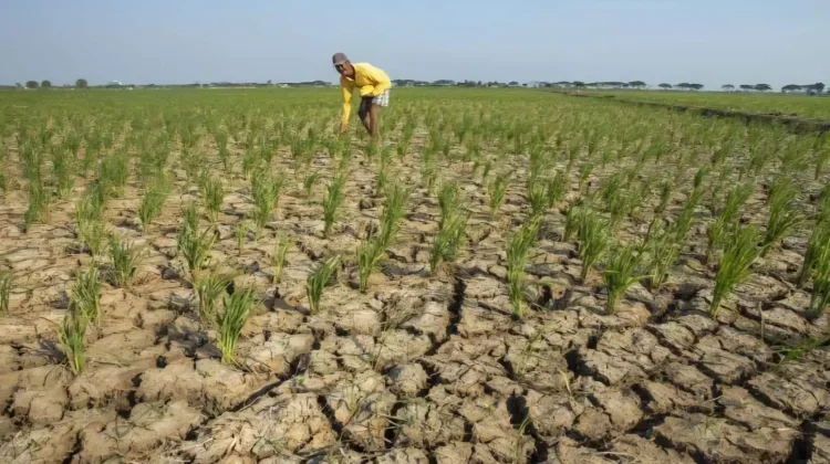 Drought Threat Expands, Tangerang Maps Drought-Prone Areas
