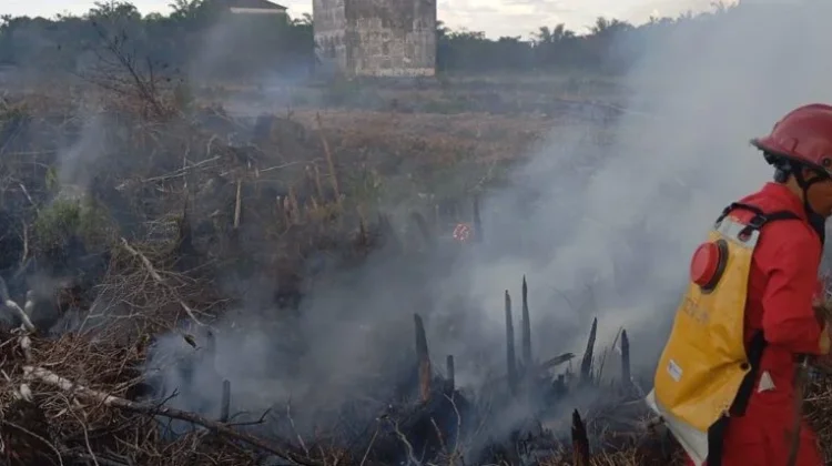 East Kotawaringin Wildfires Spread as BPBD Records 268 Hotspots