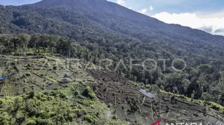 Kerinci Seblat Launches Greenline Reforestation at Mount Kerinci
