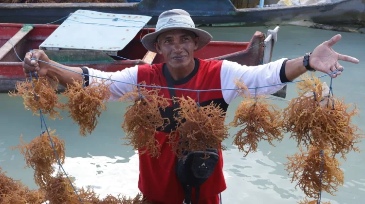 Indonesia Boosts Agro‑Industry Skills for Global Markets