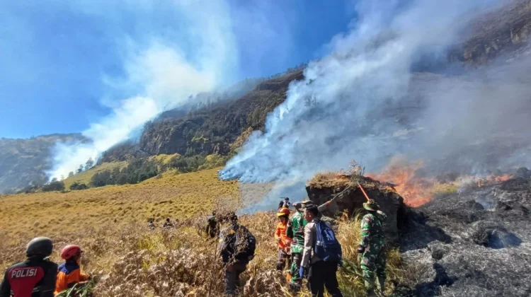 Bromo Wildfire Expands, Challenging Indonesia’s Emergency Response
