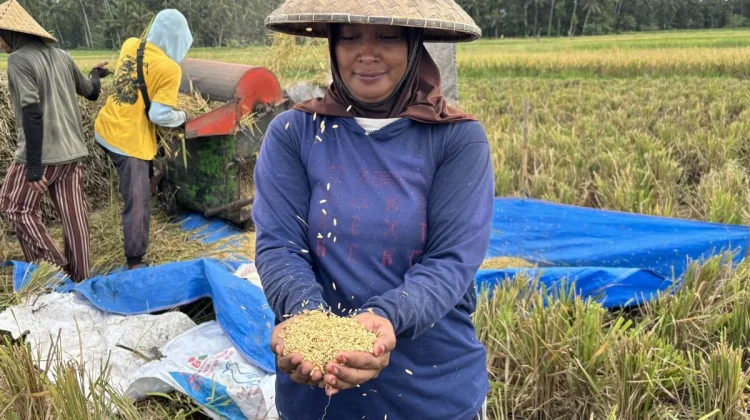 Indonesian Farmers’ Welfare Shows Positive Progress: Govt