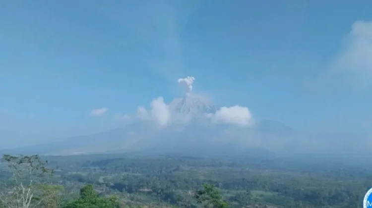 Mount Semeru Erupts Eight Times, Ash Plumes Reach 800 Meters