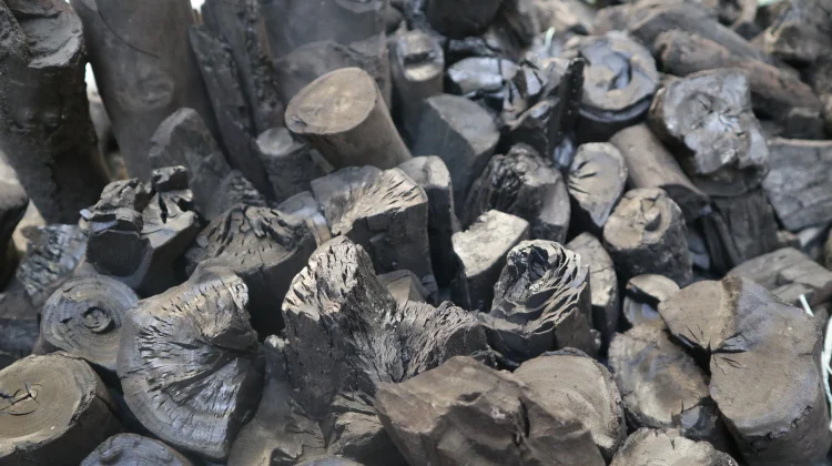 Indonesia Expands Chocolate, Activated Charcoal Exports to Mid-East