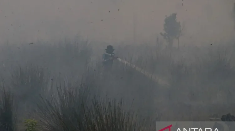 Palangka Raya Extends Emergency Response Status for Forest and Land Fires