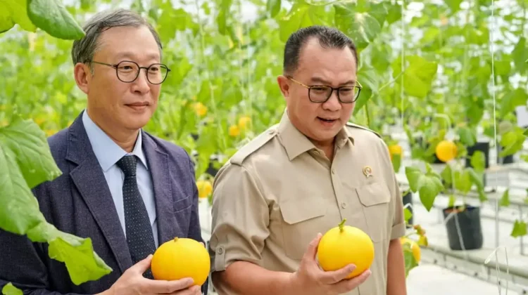 BRIN and Korea’s KIST Launch Smart Greenhouse in Cibinong
